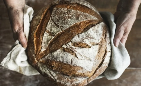 Sourdough | History Rises Again