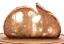 category-image-sourdoughHIW.webp