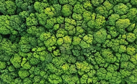 Is Sustainability Really For Everyone? | Opinion