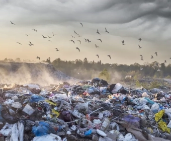 category-image-the-cost-of-food-waste.webp