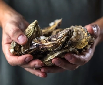 Toxicity in Shellfish | What is Shellfish Poisoning?