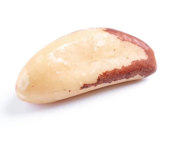 category-image-toxicfoods.webp