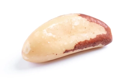 Toxic Foods | 5 Delicious but Deadly Foods
