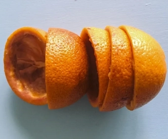 category-image-unusualfoodwaste.webp