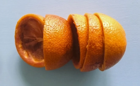 Recycling Food Waste: 6 Unusual Food Waste Inventions