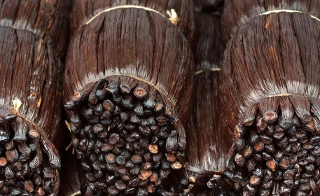 How is Vanilla Grown?