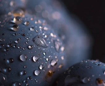 Water Footprint of Food
