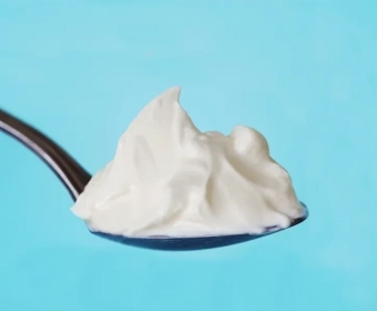 category-image-yogurt-howitsmade.webp