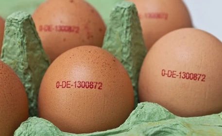 Is Blockchain The Solution To Traceability? | Ask The Expert