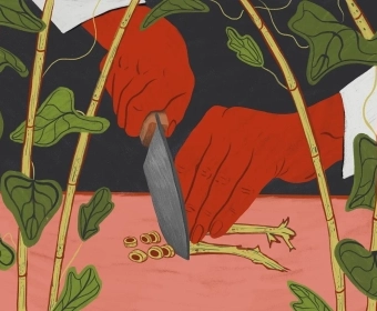 chefs_biodiversity_banner.webp