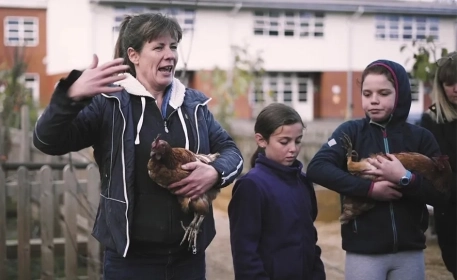 Keeping Chickens in Schools | How it works