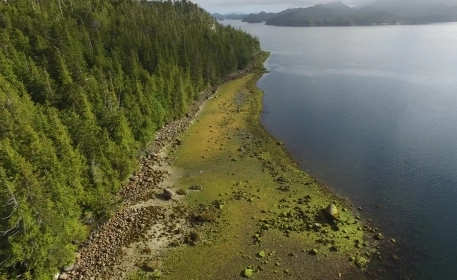Restoring Ancient Clam Gardens in the Pacific Northwest