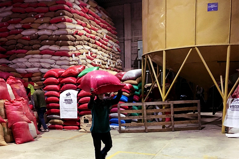 Storage depot of FECCEG coffee beans.