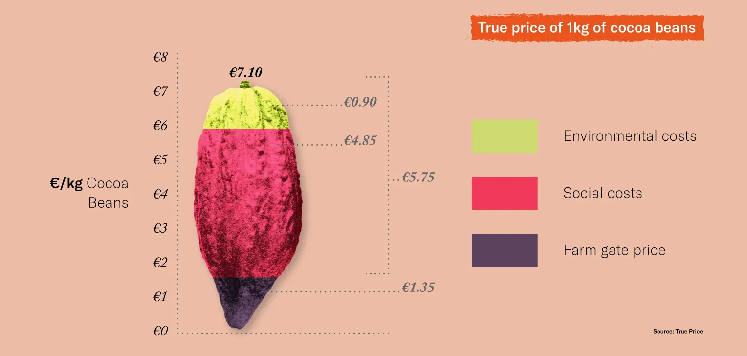 Traceability infographic - cocoa beans