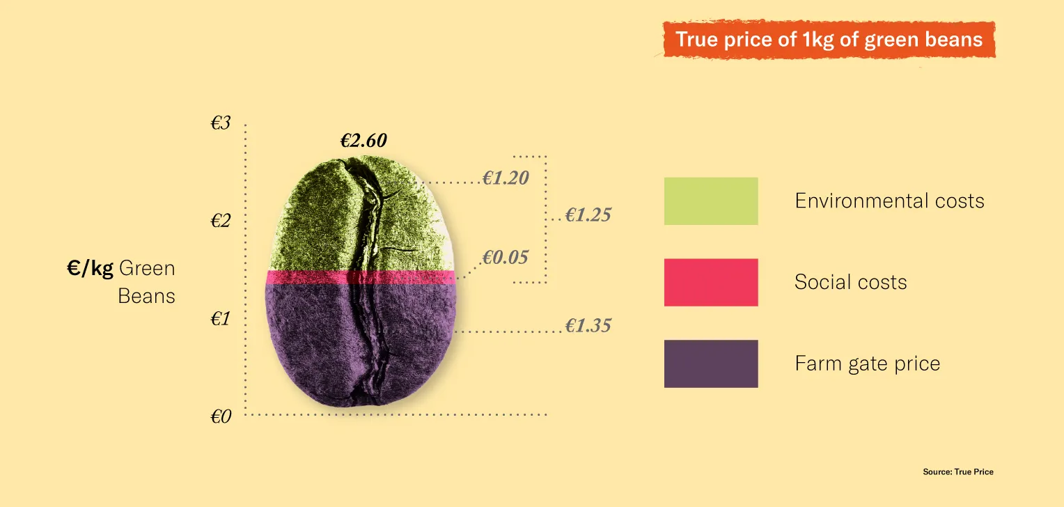 Traceability infographic - coffee