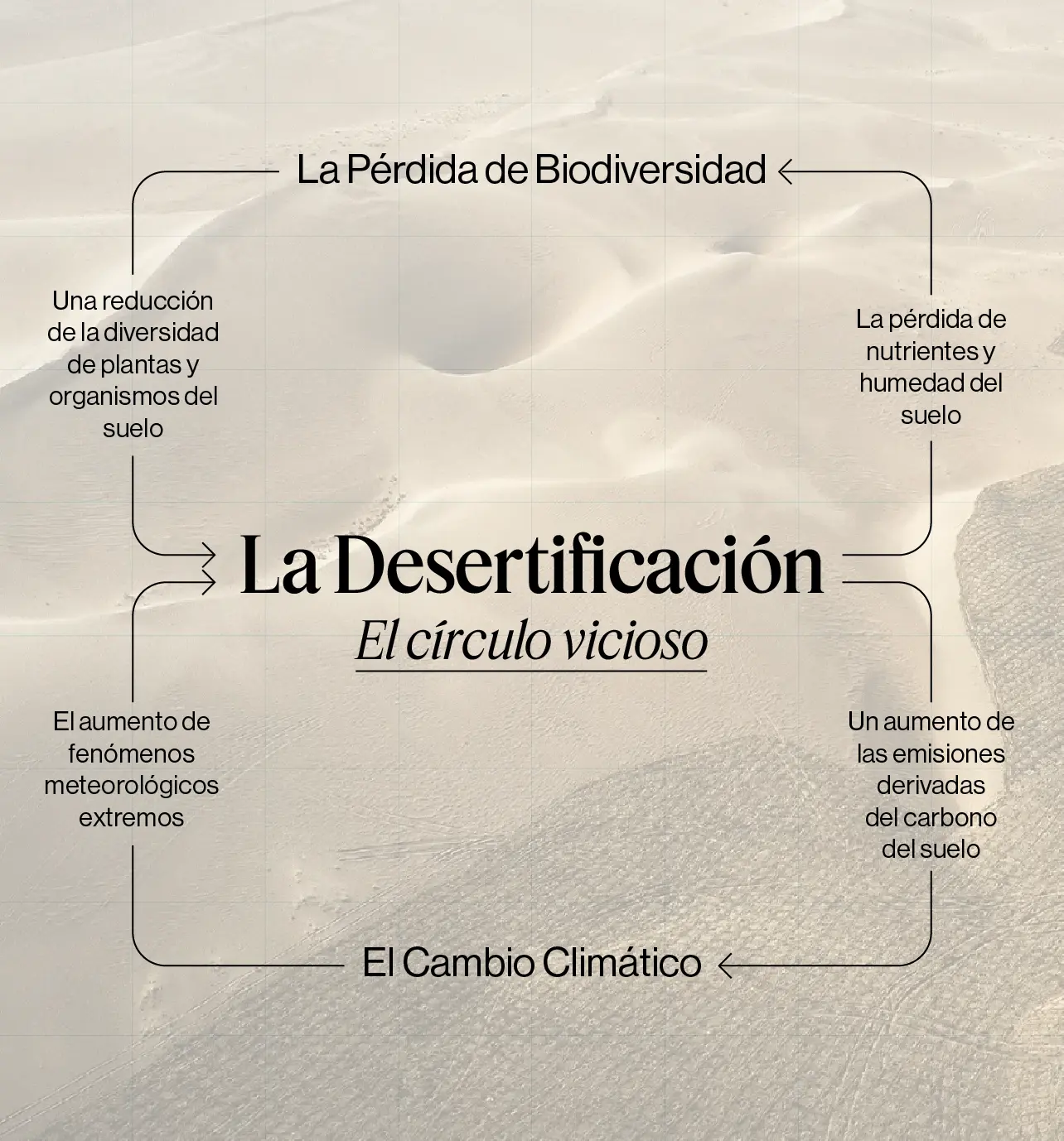 La Desertificación: El círculo vicioso entre la degradación del suelo y el cambio climático