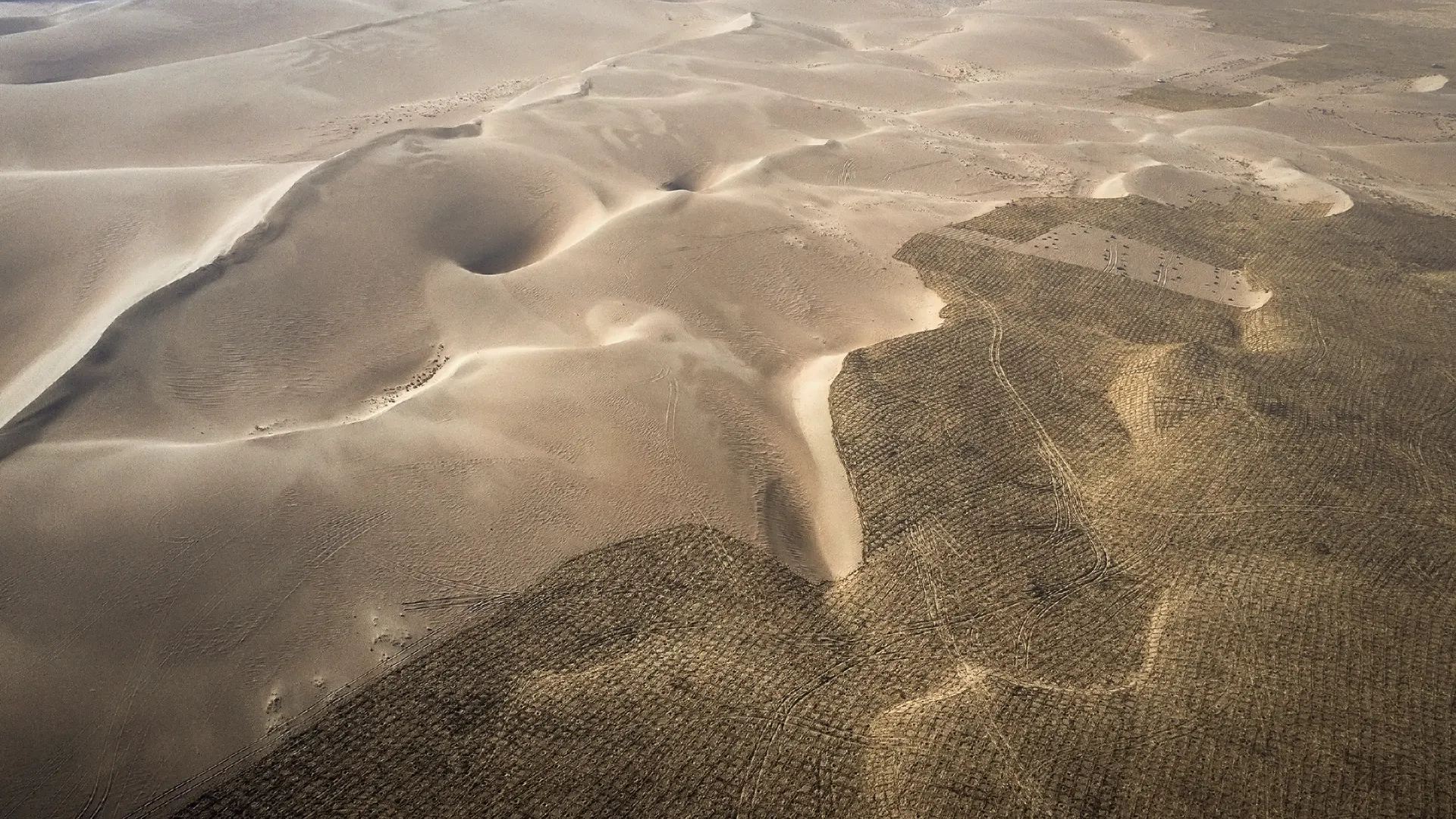 Desertification_Banner.webp