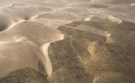 Desertification: The Vicious Cycle Between Land Degradation and Climate Change