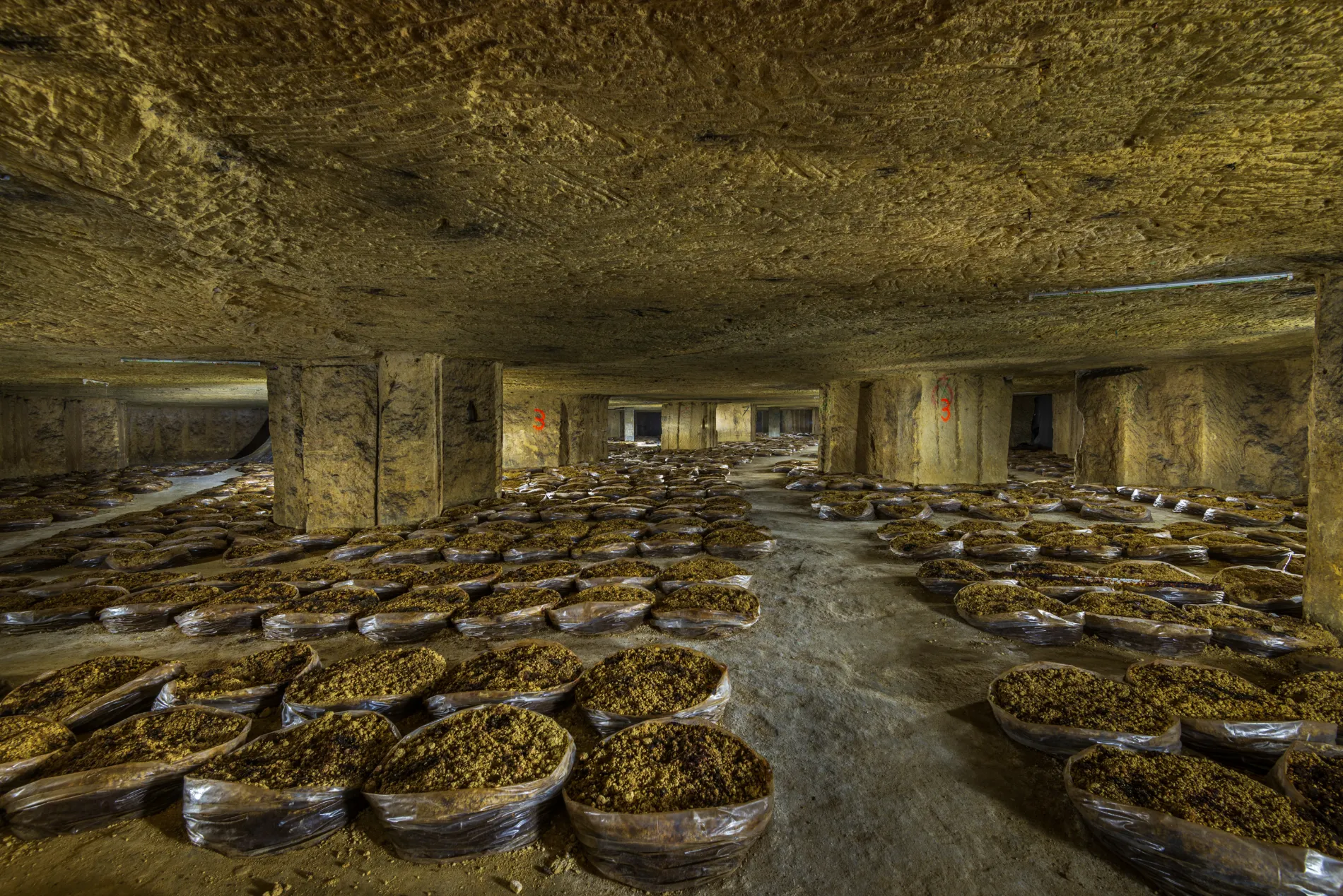 Carriere Equestre; an abandoned mushroom farm in France.