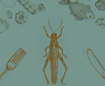 EdibleInsects_Thumb.webp
