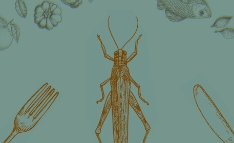 Edible Insects | Ask the Expert