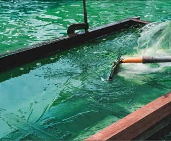 EN-Microalgae-Banner.webp
