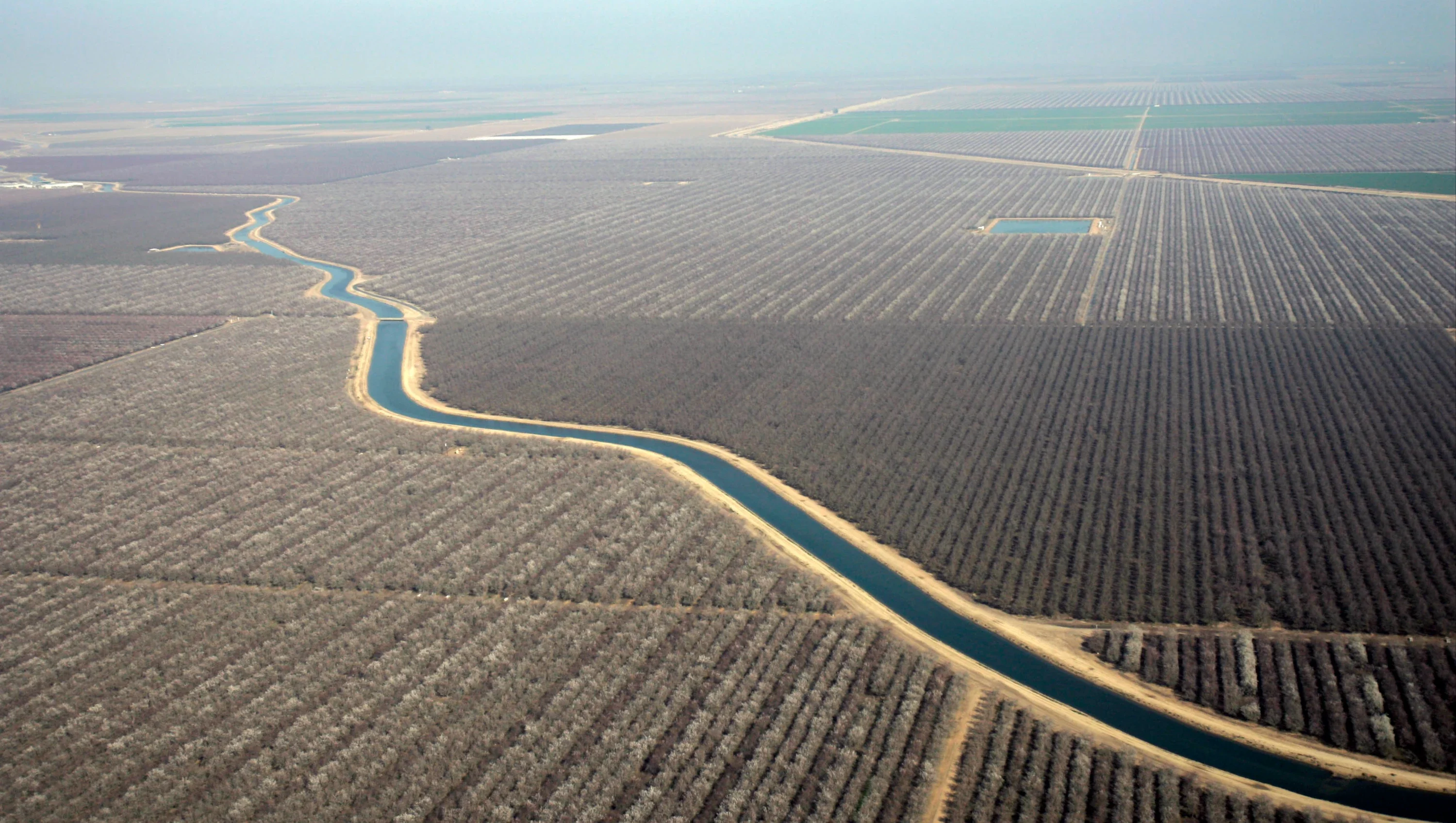 Almond orchards surround an irrigation canal in Shafter