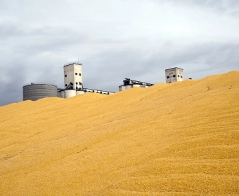 EN_Biofuels__Banner.webp