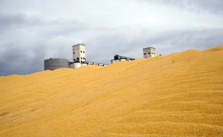 Biofuels: Is Growing Food for Energy a Good Idea?