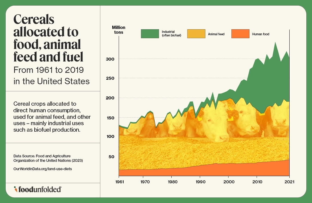 Cereals  allocated to food, animal feed and fuel  From 1961 to 2019 in the United States