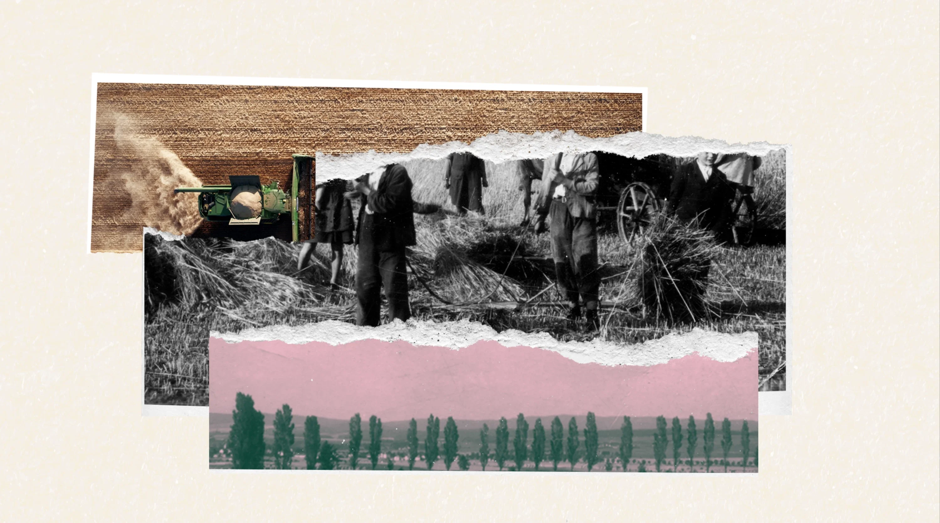 EN_Farming-crisis_Banner.webp