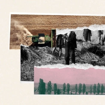 Why European Farming Faces a Demographic Crisis