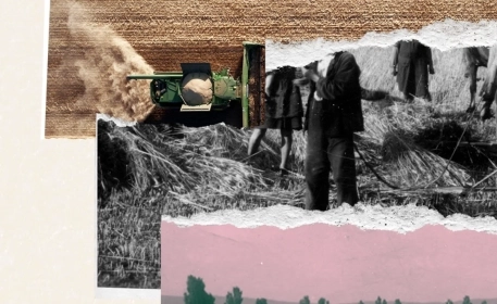Why European Farming Faces a Demographic Crisis