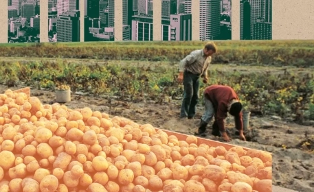 Why Producing More Food Doesn’t Mean Less Hunger