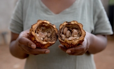 Chocolate | How it’s Made