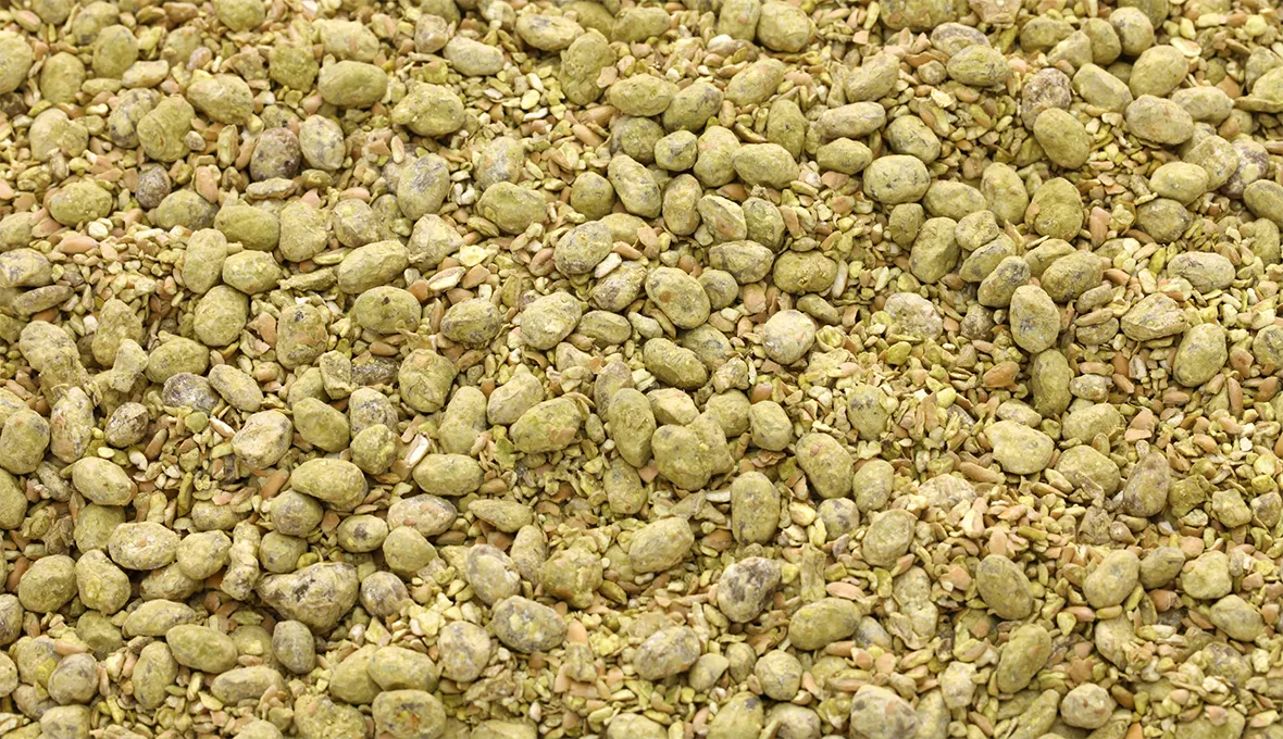 The soy  and the wheat are colonised by the koji mould, that will break down the proteins in the beans, giving the soy sauce its typical umami flavour.