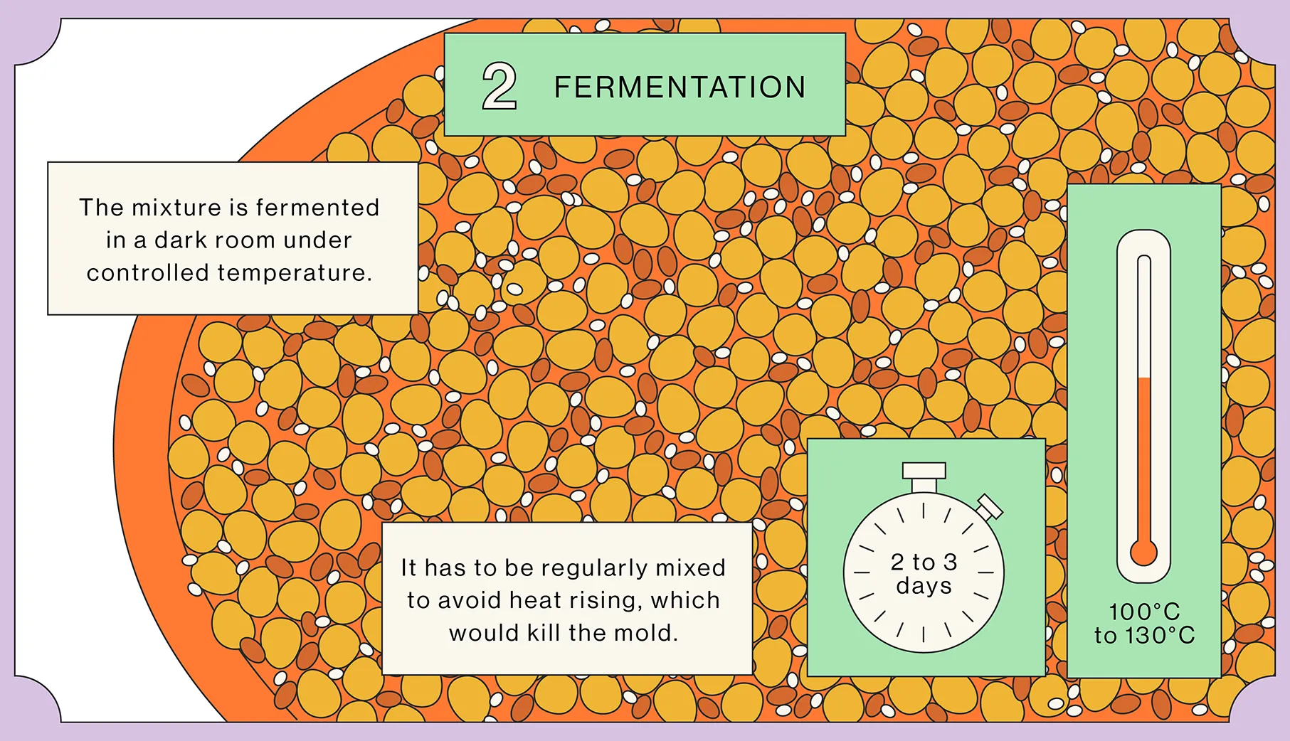 2. Fermentation