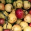 EN_Imperfect-food_Thumb.webp