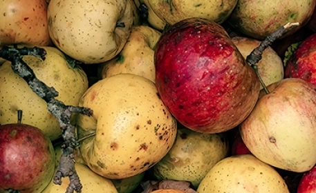 The Timely Rise of Imperfect Produce