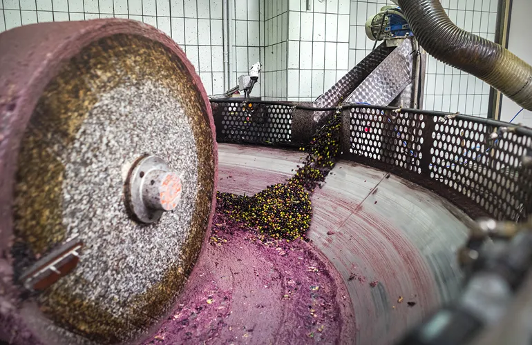  Mills can opt for traditional or modern crushing - here, the traditional stone presses crush the freshly harvested olives, transforming it into a past, the pomace. 