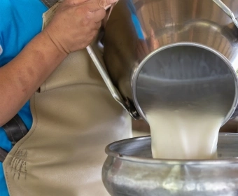 EN_Raw-milk_Thumb.webp