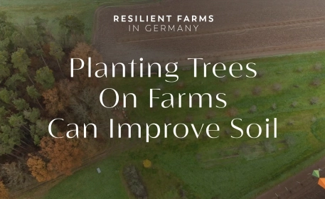 Planting Trees On Farms Can Improve Soil | Resilient Farms in Germany
