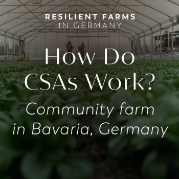 How Community Supported Agriculture Works In Practice | Resilient Farms in Germany
