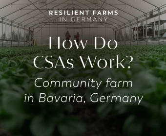 How Community Supported Agriculture Works In Practice | Resilient Farms in Germany