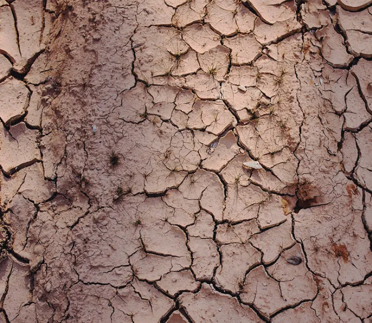 Escasez de agua | 6 formas de reducir el consumo de agua en la agricultura