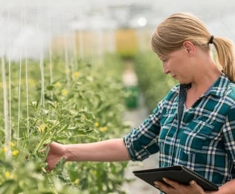 explore_how_farmers.webp