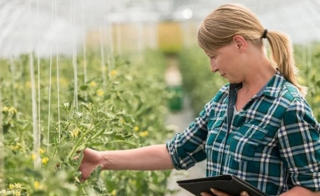 Explore How Farmers Produce Food Sustainably