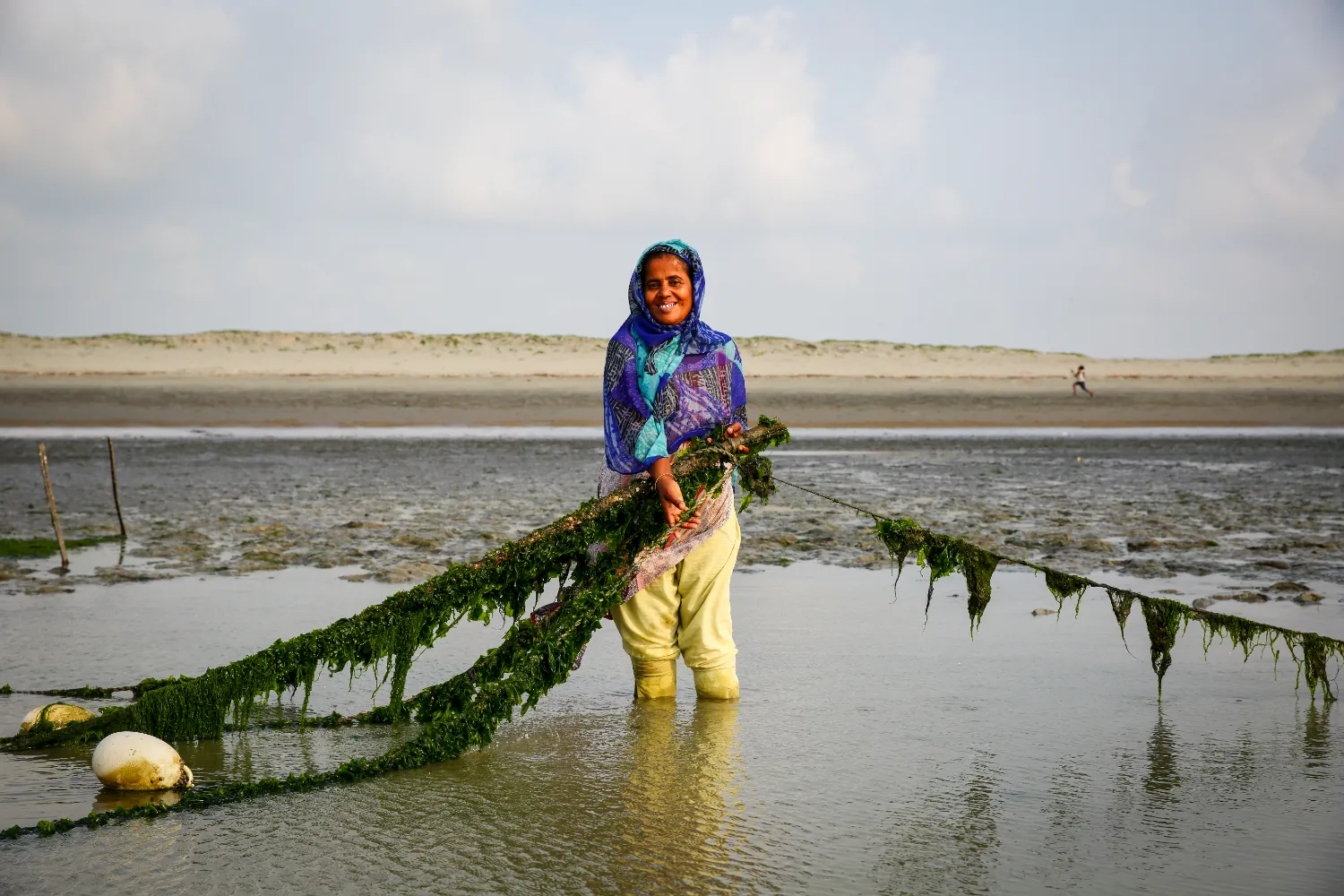 Farming Seaweed