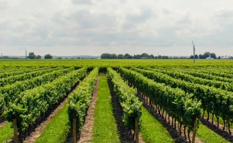 Farm to Fork: Sustainable Food Production in a Changing Environment