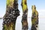 farms-clean-seas-category.webp